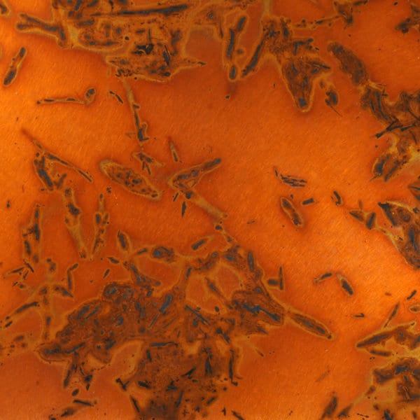 Heavy Gauge Patina Sheet Copper in Golden Bamboo