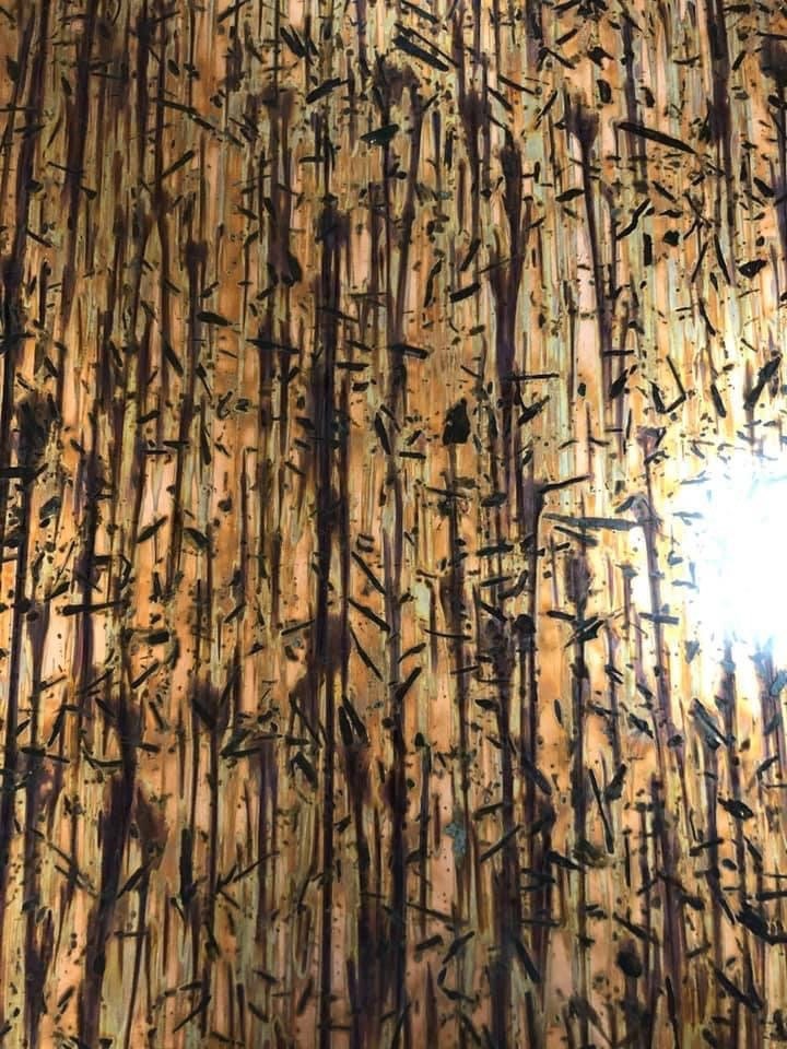 Heavy Gauge Patina Sheet Copper in Bamboo Forest