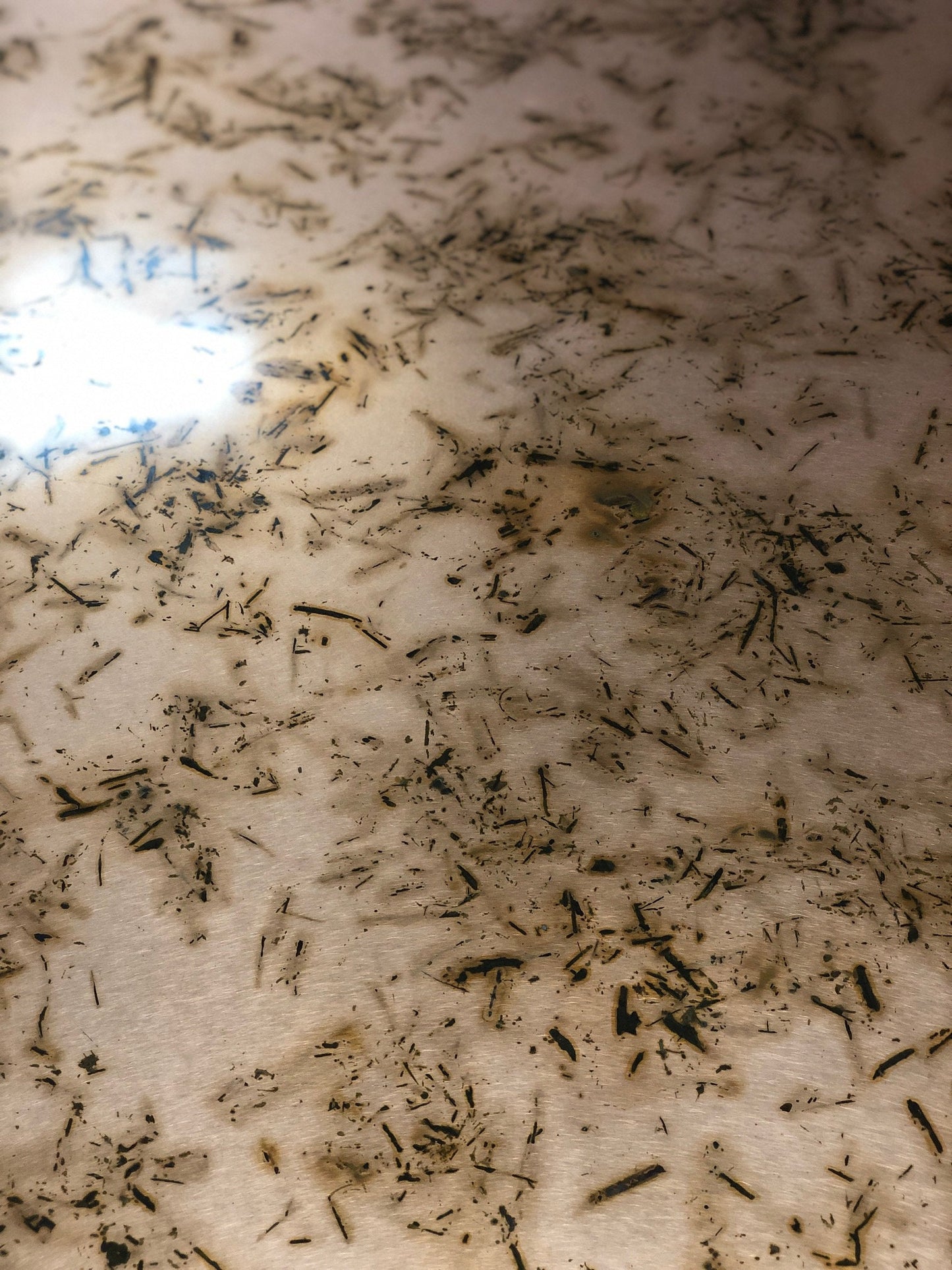 Heavy Gauge Patina Sheet Copper in Bamboo