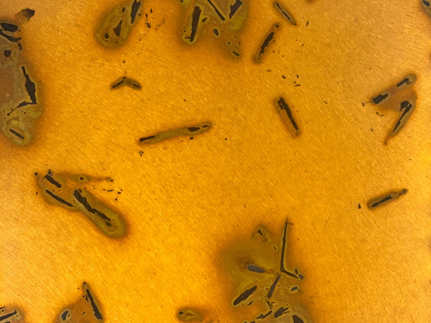 Heavy Gauge Patina Sheet Copper in Golden Bamboo