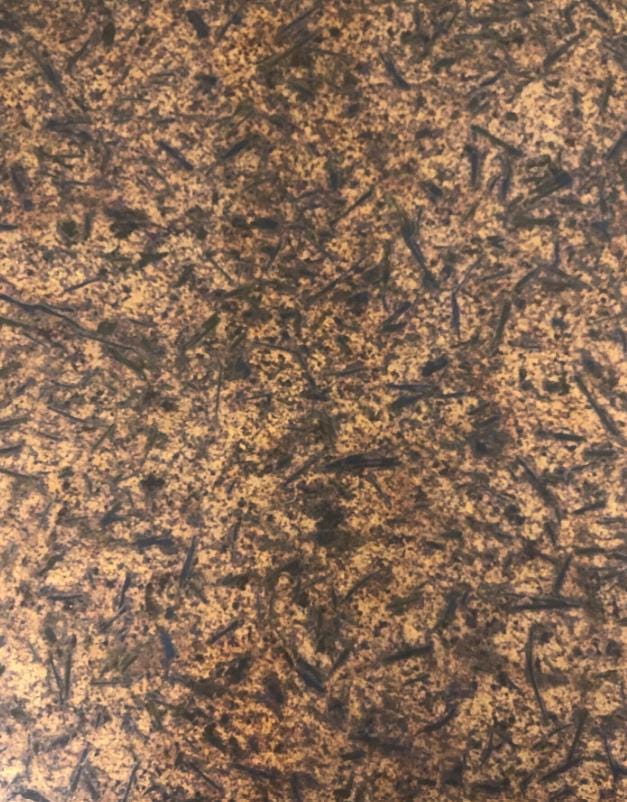 Copper Switch Plate in Medium Distressed - Additional Configurations Available!