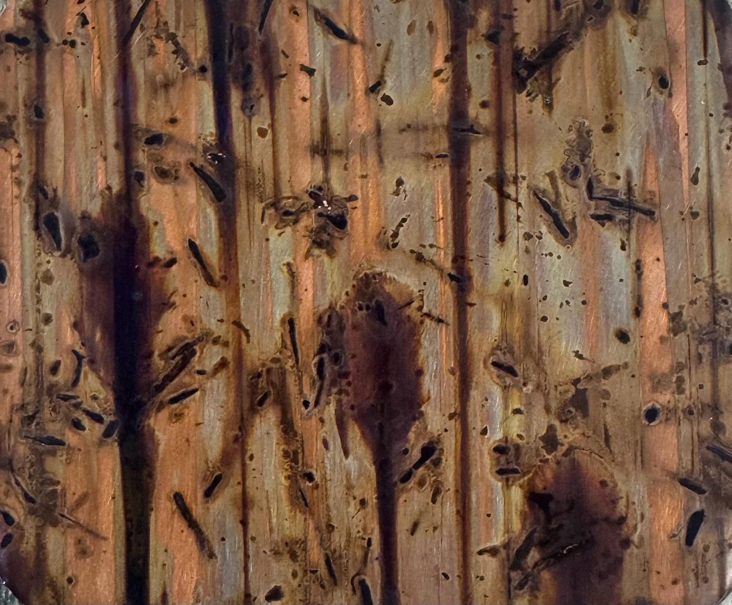 Copper Switch Plate in Bamboo Forest - Additional Configurations Available!