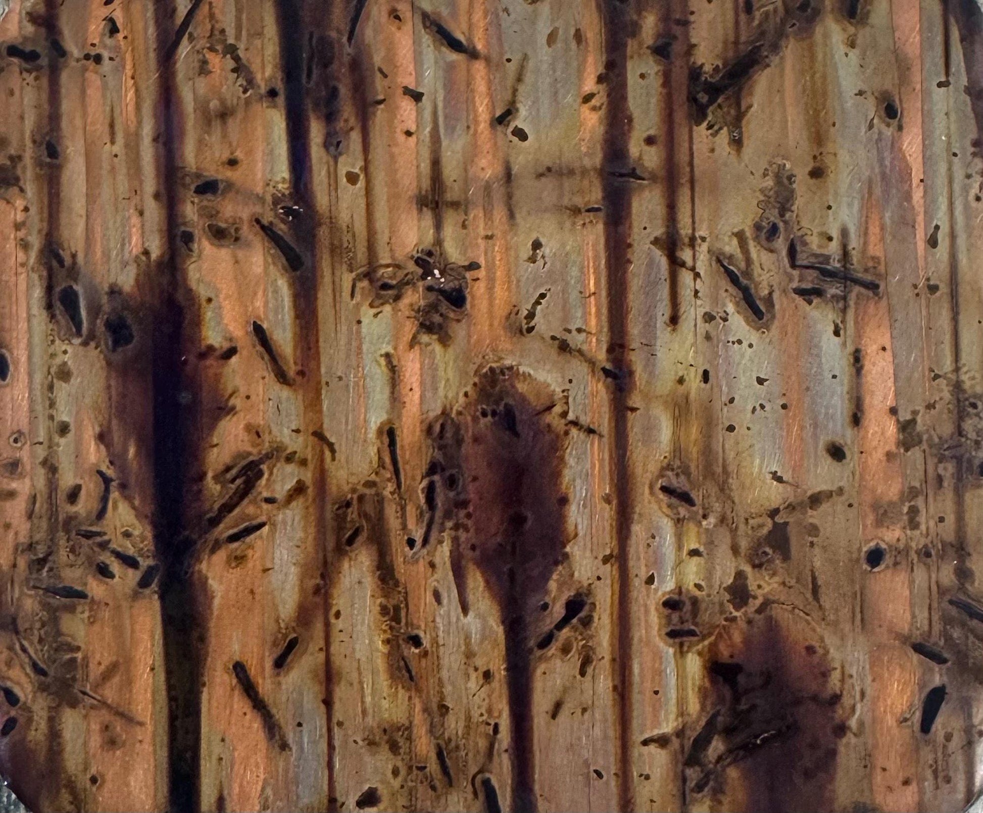 Copper Switch Plate in Bamboo Forest - Additional Configurations Available!